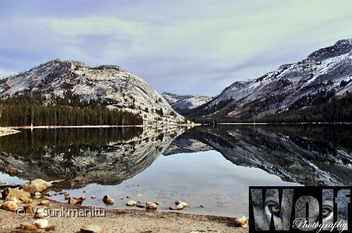 Reflections Yosemite 006 Copyright Villayat Sunkmanitu.jpg